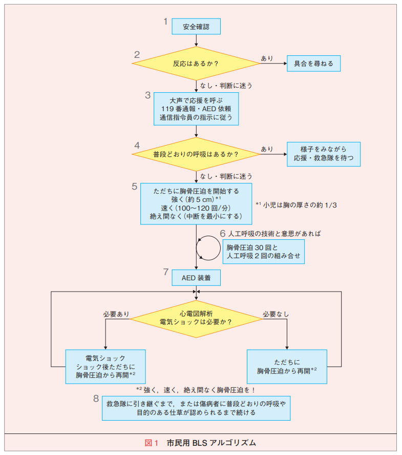 BLSの手順